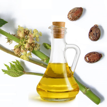 Kết quả hình ảnh cho Dầu thầu dầu (dầu hải ly)