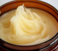 Kết quả hình ảnh cho Bơ ca cao