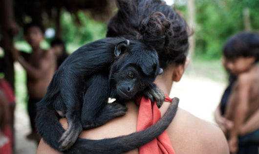 Chuyện khó tin ở nơi nuôi động vật như con, cho bú sữa người