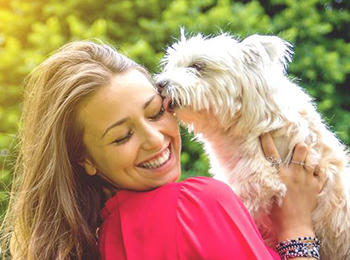 Kết quả hình ảnh cho chó mèo liếm mặt