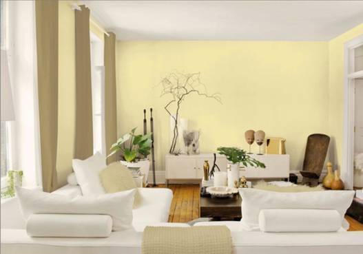 Kết quả hình ảnh cho Màu sơn tường