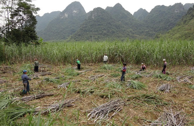 Bất ngờ chuyện ở nơi từng được xem là 'vùng đất chết' 