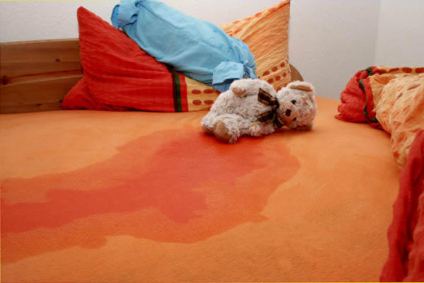 Kết quả hình ảnh cho khử mùi nước tiểu của bé trên nệm