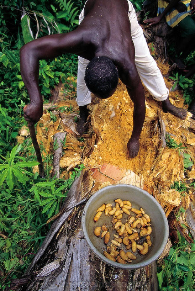 Kỳ lạ bộ lạc duy nhất không sống ở... mặt đất