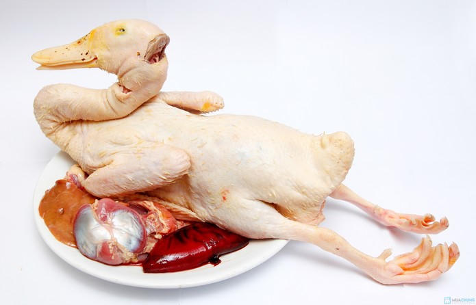Kết quả hình ảnh cho thịt vịt