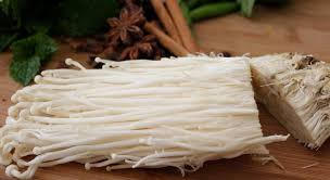 Kết quả hình ảnh cho Nấm kim châm