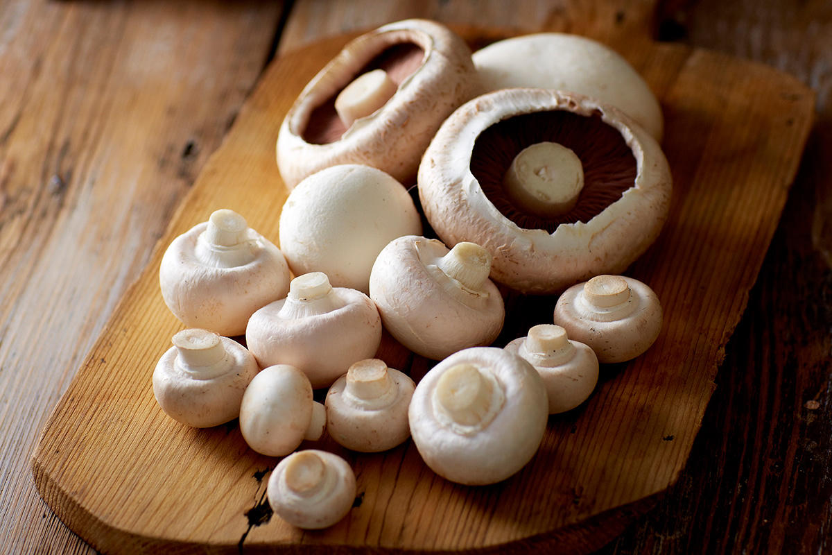 Kết quả hình ảnh cho Nấm mỡ