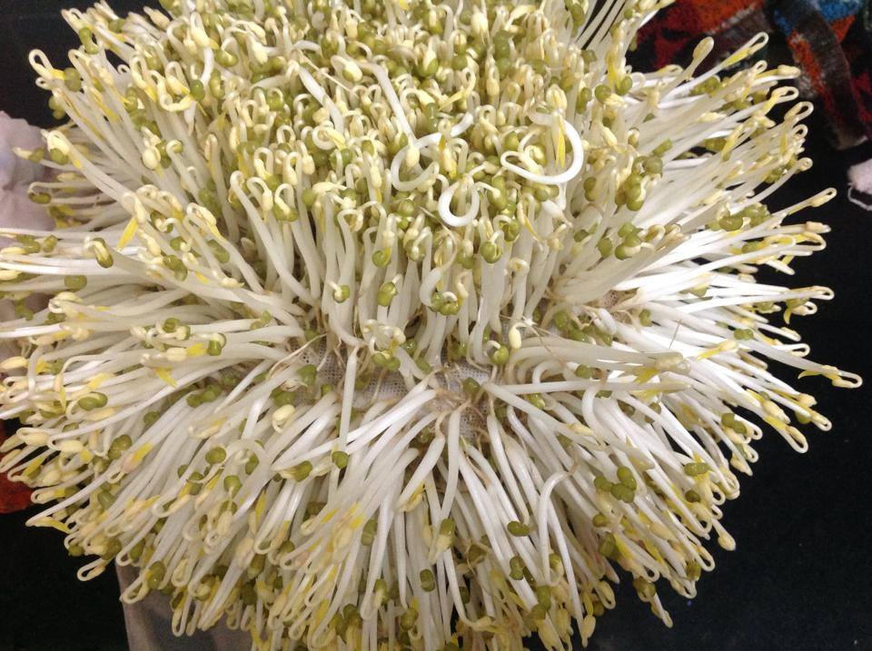 Hình ảnh có liên quan