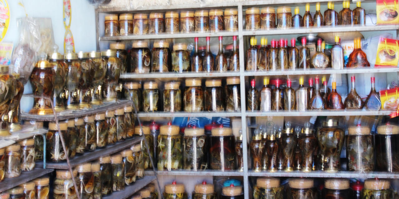 Phố “sung dược”