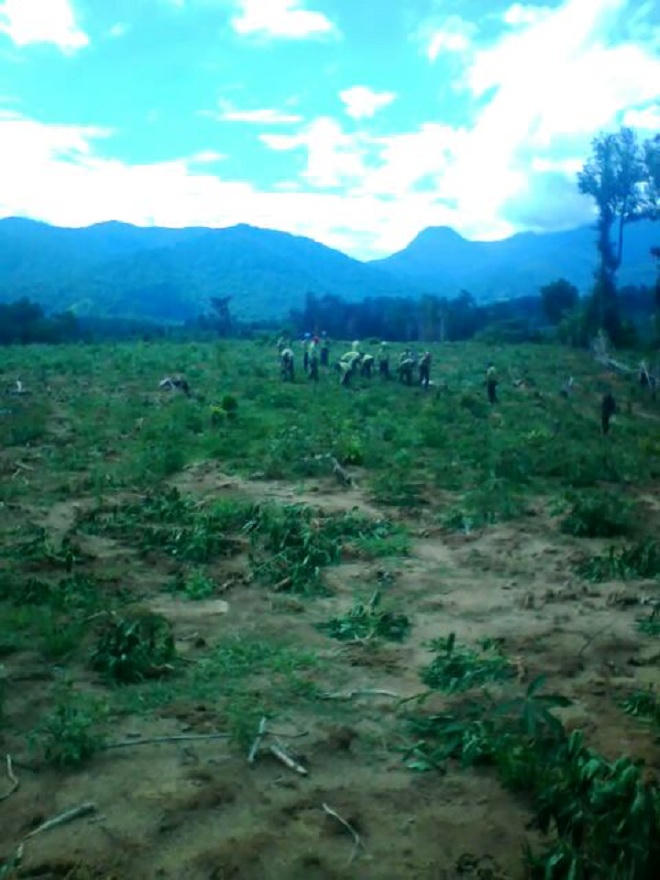 Trắng tay vì bị cán bộ kiểm lâm cưỡng chế bất thường