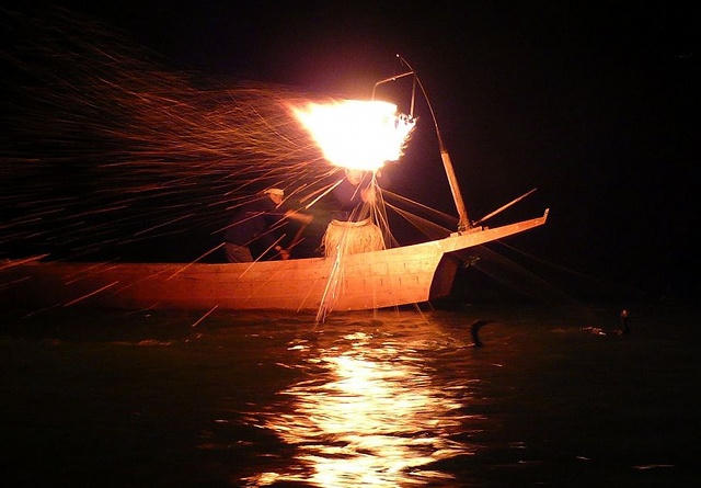 Hấp dẫn du lịch đánh cá bằng... chim cốc