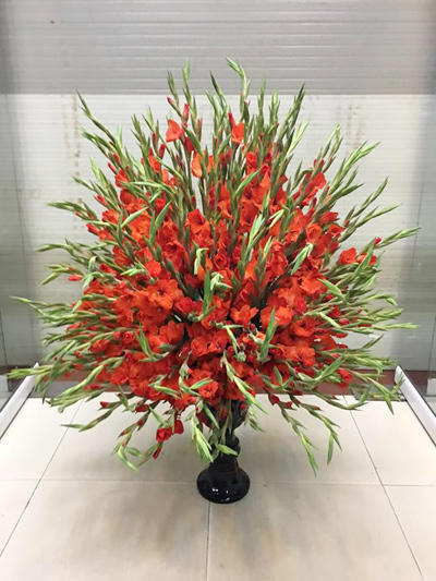 Kết quả hình ảnh cho hoa dơn cắm tay phật