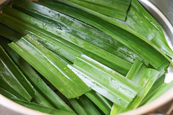 Kết quả hình ảnh cho Lá dứa