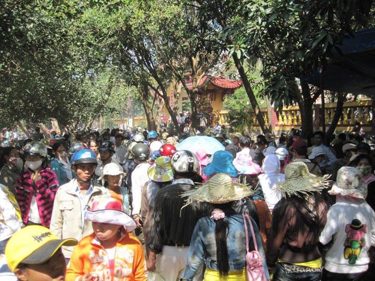 Giai thoại về tu sĩ cảm hóa được dã thú, dâng thuốc cứu vua