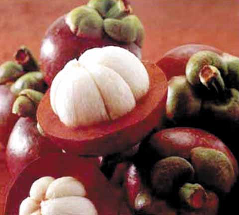 Hình ảnh có liên quan