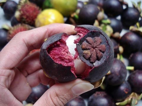 Kết quả hình ảnh cho quả măng cụt