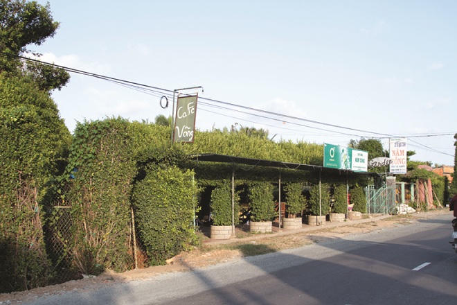 Xứ Kiểng Cái Mơn: Hương sắc tài tình