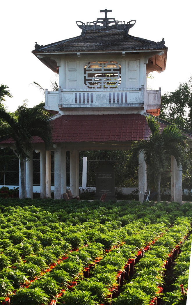 Xứ Kiểng Cái Mơn: Hương sắc tài tình