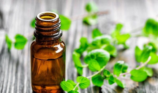 Kết quả hình ảnh cho Đuổi muỗi bằng tinh dầu bạc hà, chanh, sả :