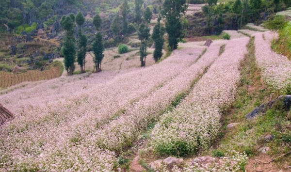 Hình ảnh có liên quan