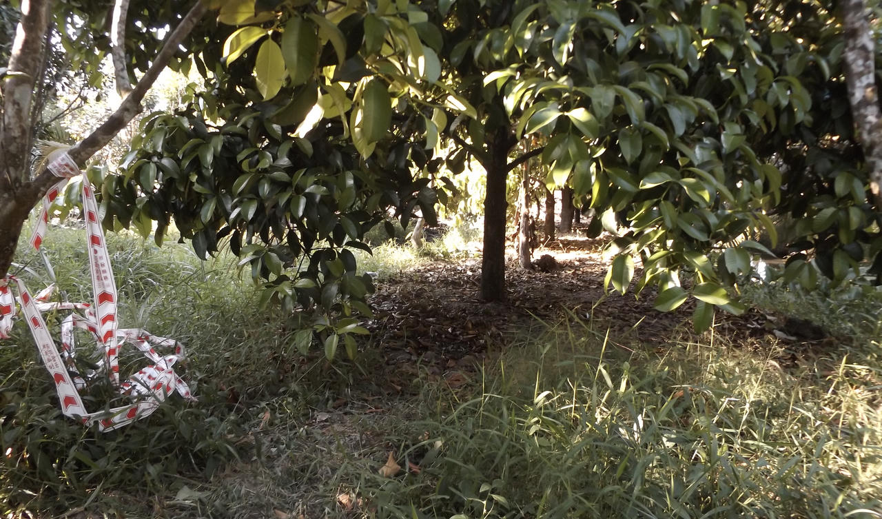 Vụ hiếp giết bé gái 10 tuổi: Thói quen bệnh hoạn của nghi phạm