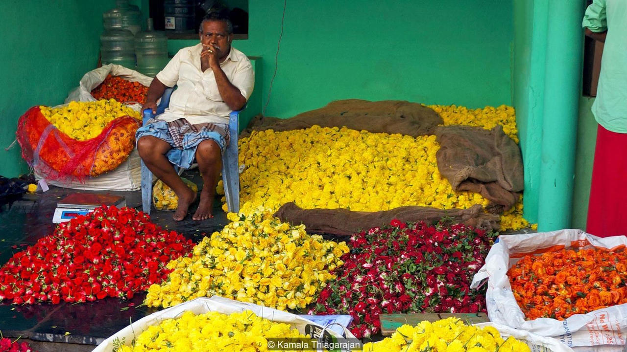 Đặc sắc thành phố ngập tràn hoa nhài ở Ấn Độ