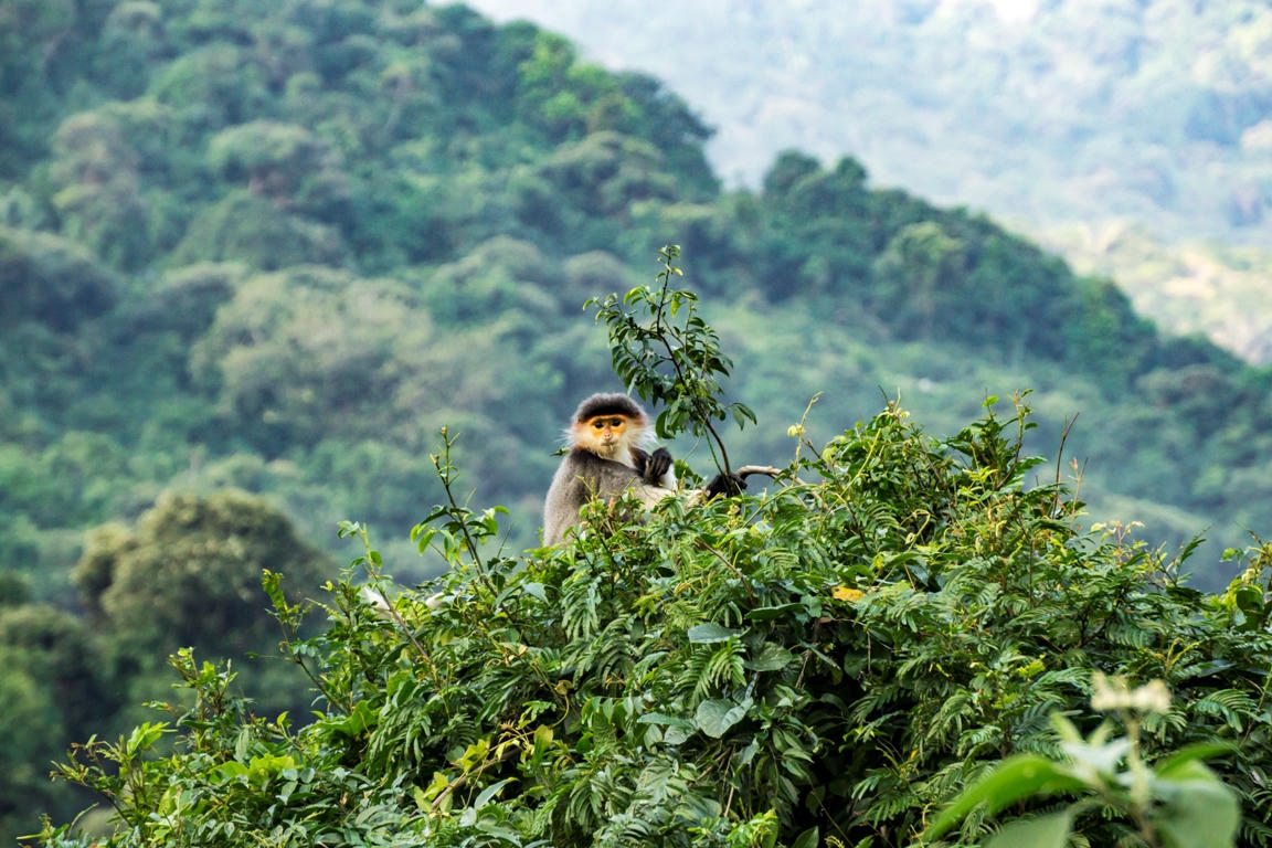 Bỏ túi những trải nghiệm cực chất tại Đà Nẵng