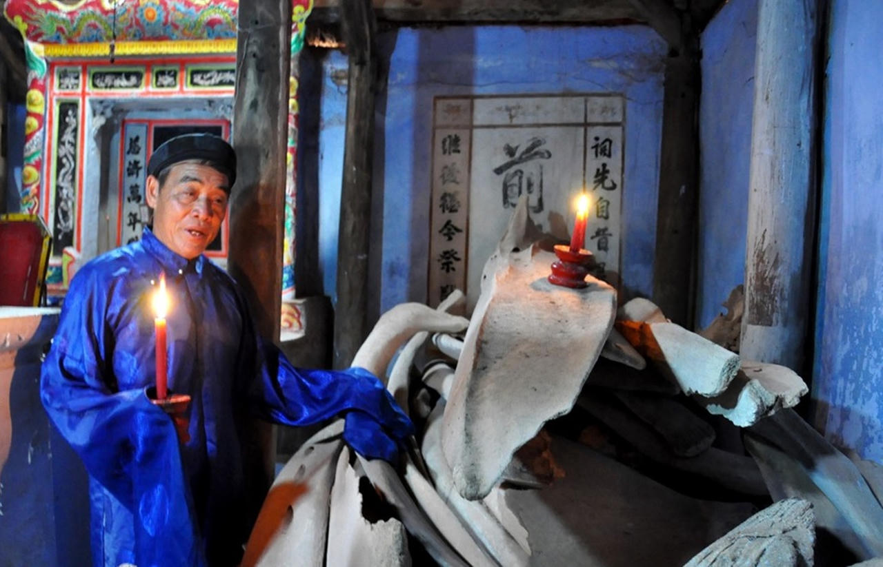 Chuyện ly kỳ về bộ xương cá voi khổng lồ ở đảo Lý Sơn