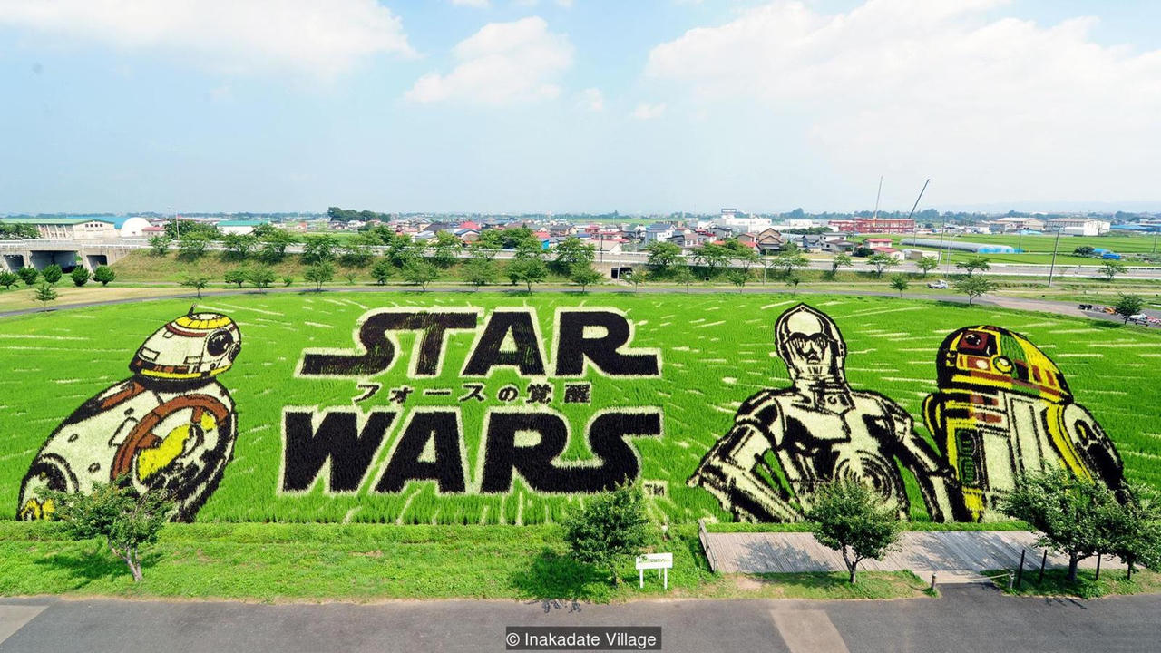 Tuyệt phẩm trên đồng lúa của nông dân Nhật