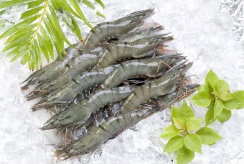 Kết quả hình ảnh cho Tôm