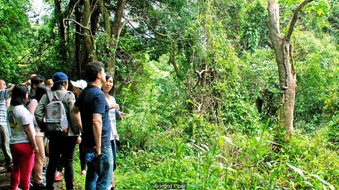 Trầm hương- “Món vàng” hấp dẫn cả thế giới