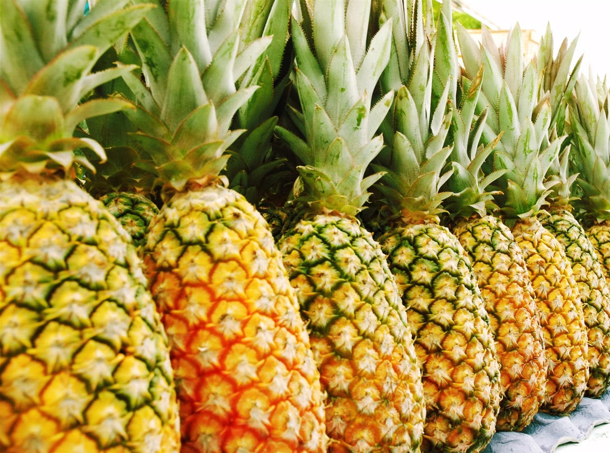 Kết quả hình ảnh cho quả dứa mắt sâu