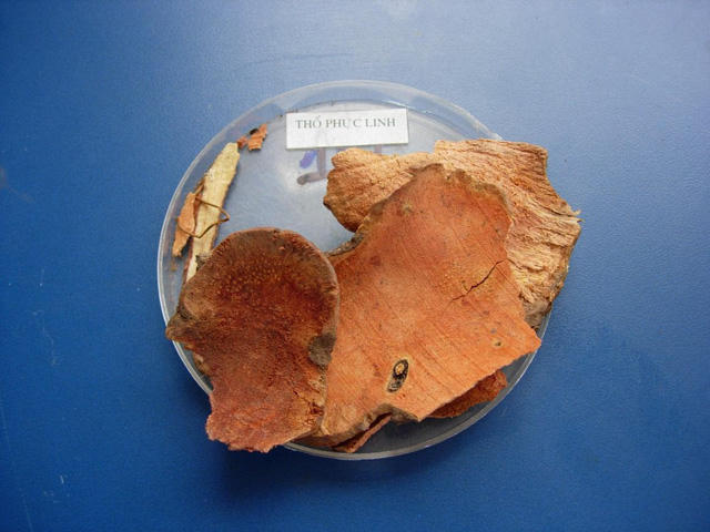 Chữa viêm da, mẩn ngứa với củ khúc khắc