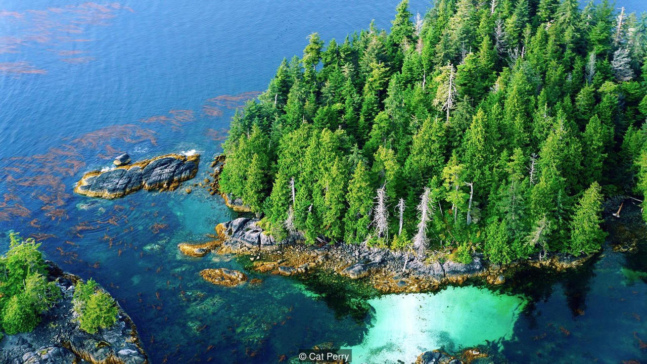 Những nghi lễ tặng phẩm xa xỉ của người Alaska