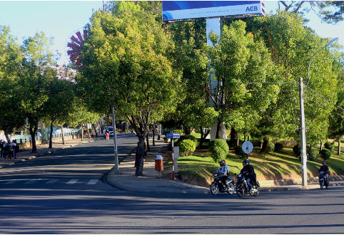 Đà Lạt: Sức hút lạ kì của phố “dốc”