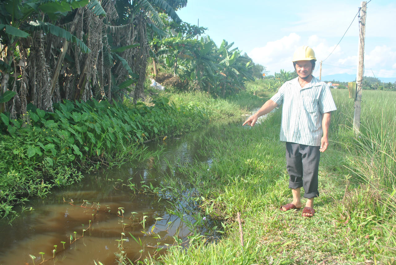 Lão nông 'khùng' ném nửa tỷ đồng 'đánh thức' đồng hoang nhiễm mặn