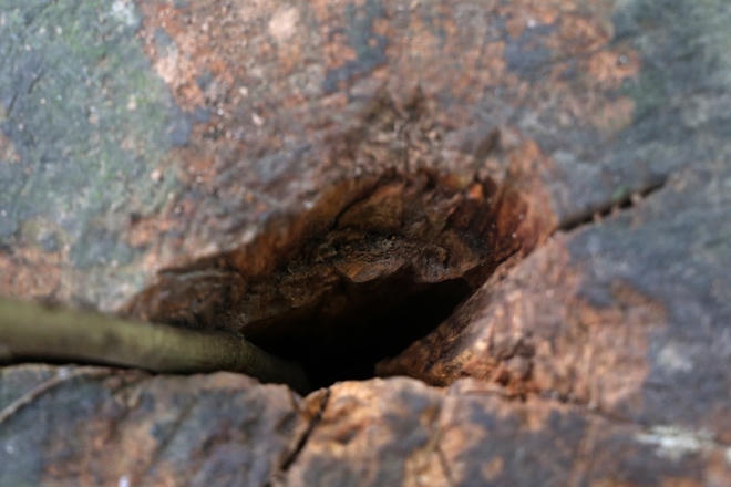 “Lộc trời” trăm tỷ nguy cơ chết khô, các bên vẫn mải tranh cãi phương án chia tiền