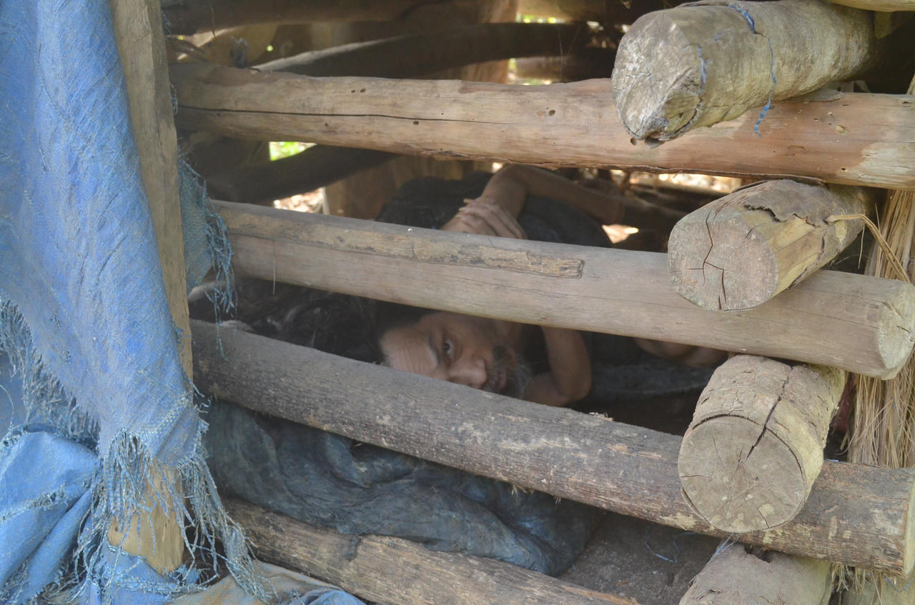 Bi kịch của người điên sống trong cũi và nỗi đắng đót của người tỉnh