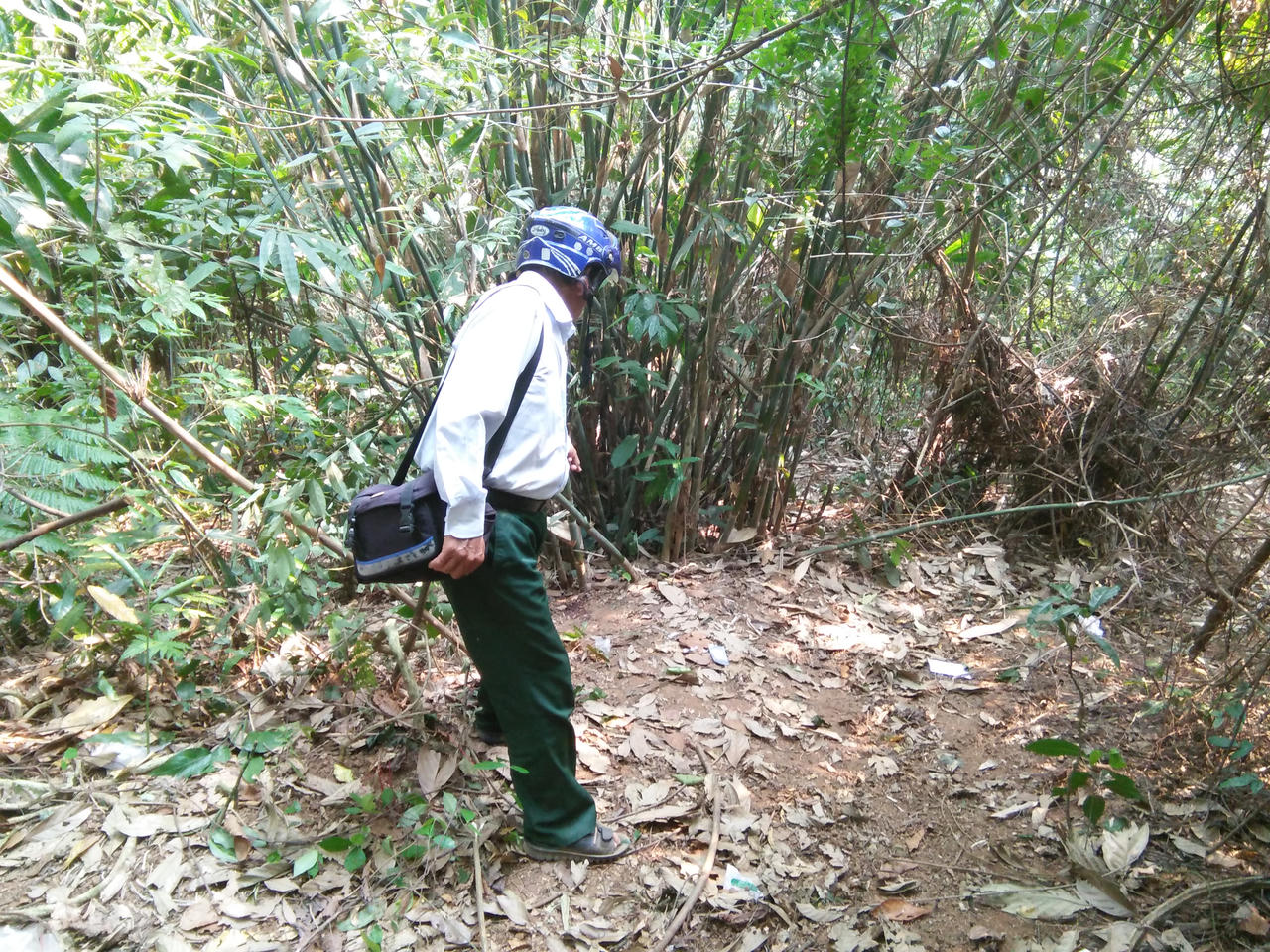 Chấn động Hòa Bình: Nữ sinh sư phạm nghi bị hiếp dâm rồi sát hại ở bìa rừng