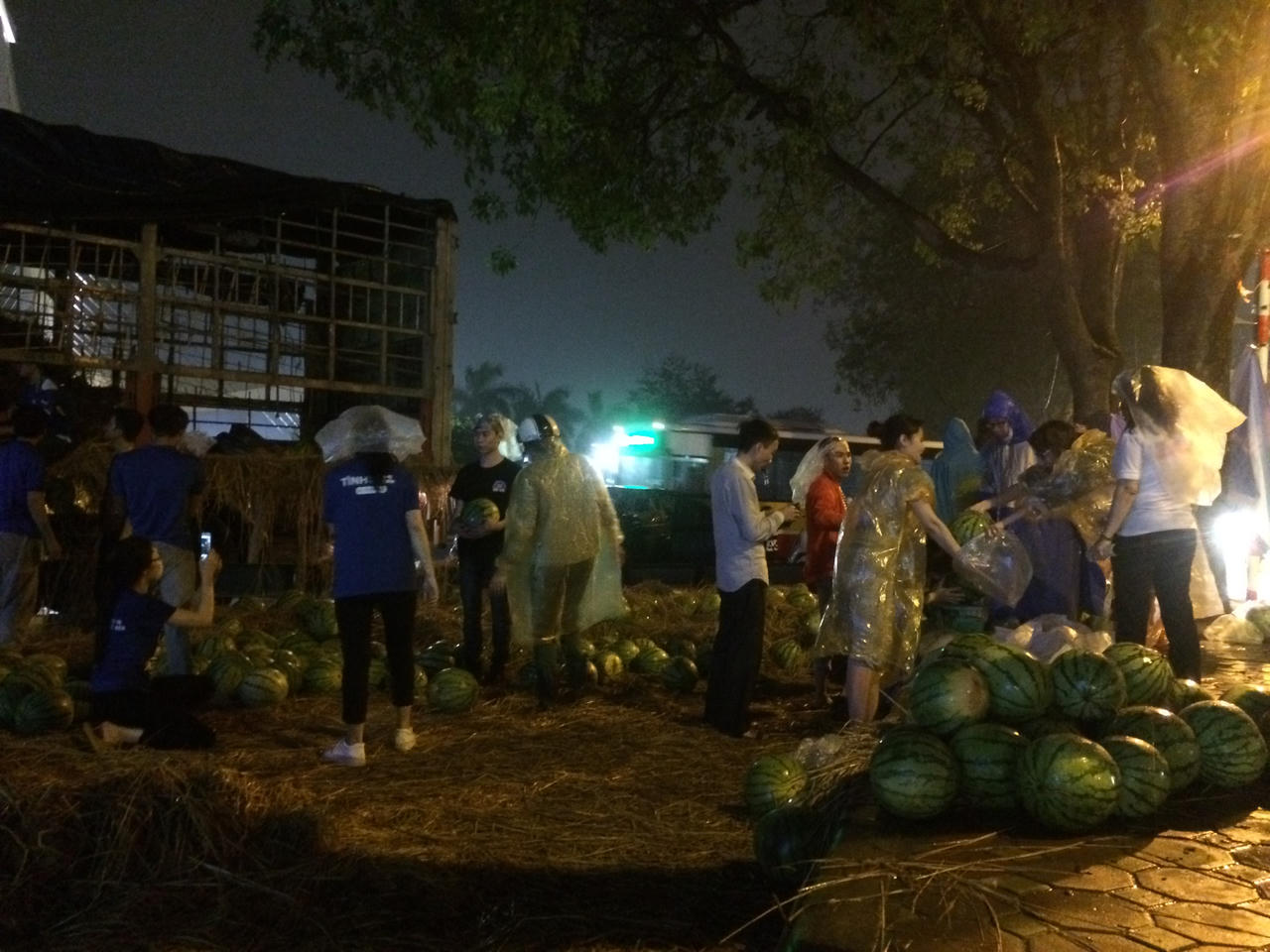 Ứng dụng công nghệ để không còn tình trạng “giải cứu” nông sản