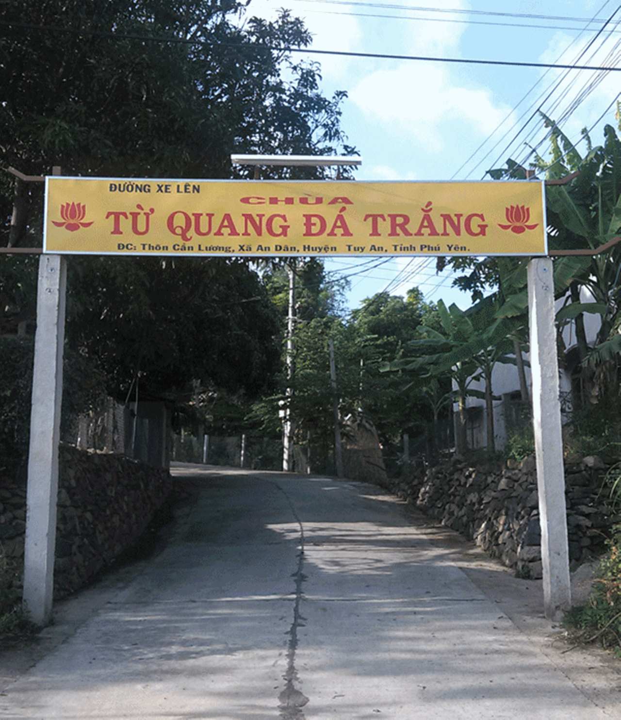 Huyền thoại xoài tiến vua thơm ngon ở chùa cổ Đá Trắng