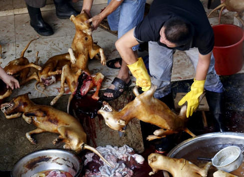 Những câu chuyện nhân quả, nghiệp báo và sự vi diệu của phật pháp nhiệm mầu