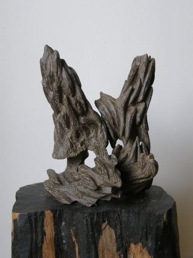 Bí ẩn thế giới trầm hương: trở thành tỉ phú chỉ sau một đêm