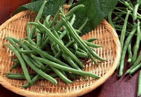 Kết quả hình ảnh cho Đậu cô-ve