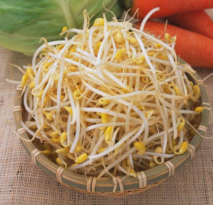 Kết quả hình ảnh cho Giá đỗ