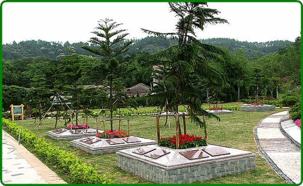 Lo nơi yên nghỉ cho người chết – nỗi kinh hoàng của người Bắc Kinh