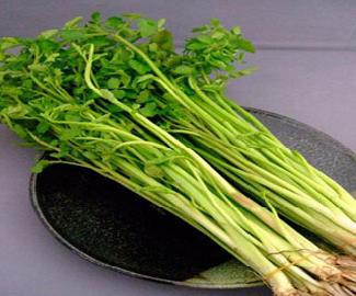 Kết quả hình ảnh cho Rau cần nước