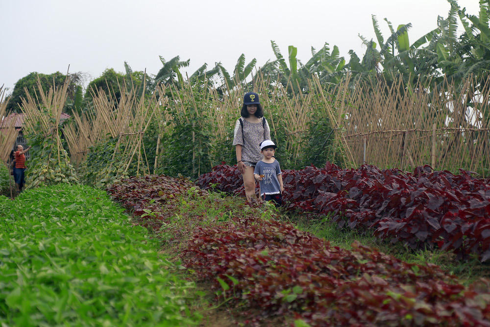 Kỳ nghỉ lễ “nhẹ như lông hồng” ở FLC Vĩnh Phúc 