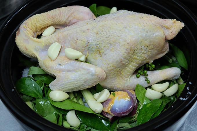 Kết quả hình ảnh cho gà ta 'tắm mỡ xông hơi'