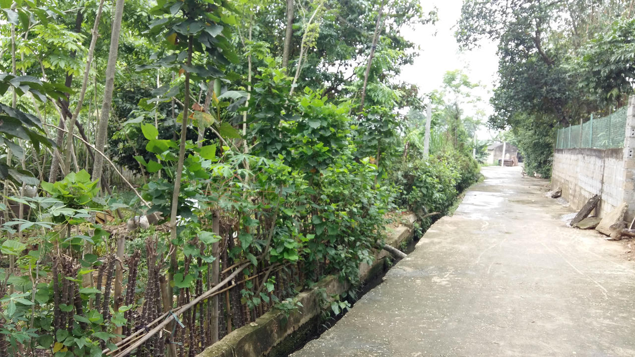 Gian nan tìm công lý trong vụ án có dấu hiệu oan sai ở Tuyên Quang